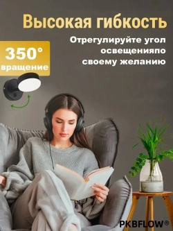 PKBFLOW Светильник настенный,с выключателем, трехцветный свет, 220V, черный