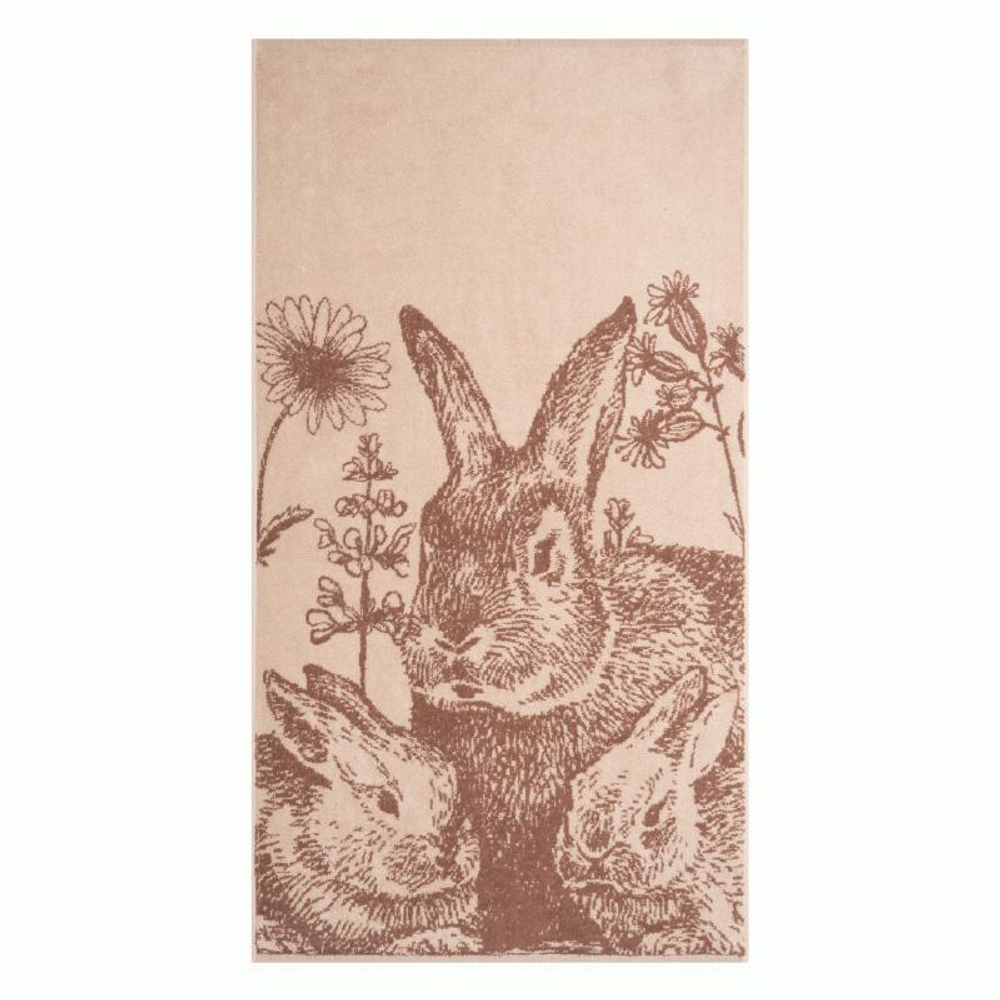 Rabbit family