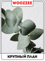 Набор постеров "Зелень в вазе 2"  3шт.