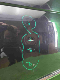 Дверь передняя правая VW Transporter T5 T6 (03-нв)