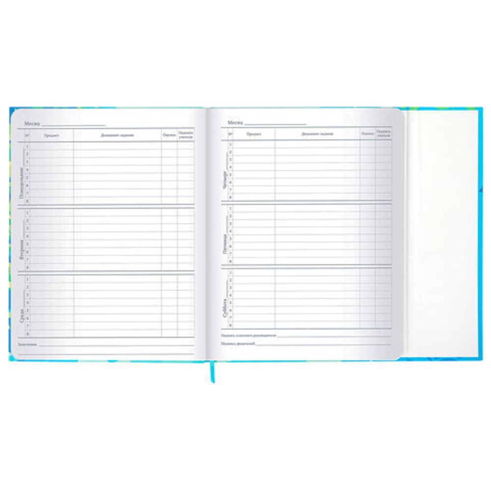 Дневник 1-11 класс 48 л., твердый, BRAUBERG, матовая ламинация, магнитный клапан, закладка-ляссе, с подсказом, "Котик", 107244