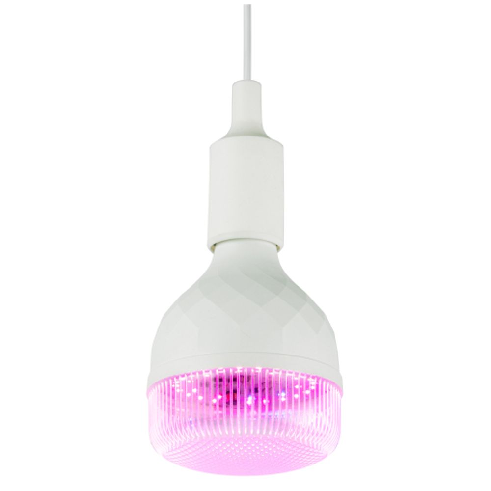 Фитолампа для растений светодиодная ЭРА GREEN LINE ФИТО-35W-PL-E27-GR красно-синего спектра 35 Вт Е27