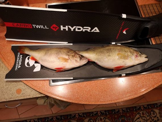 Карбоновые ласты Hydra CarboTwill с калошами Leaderfins Forza