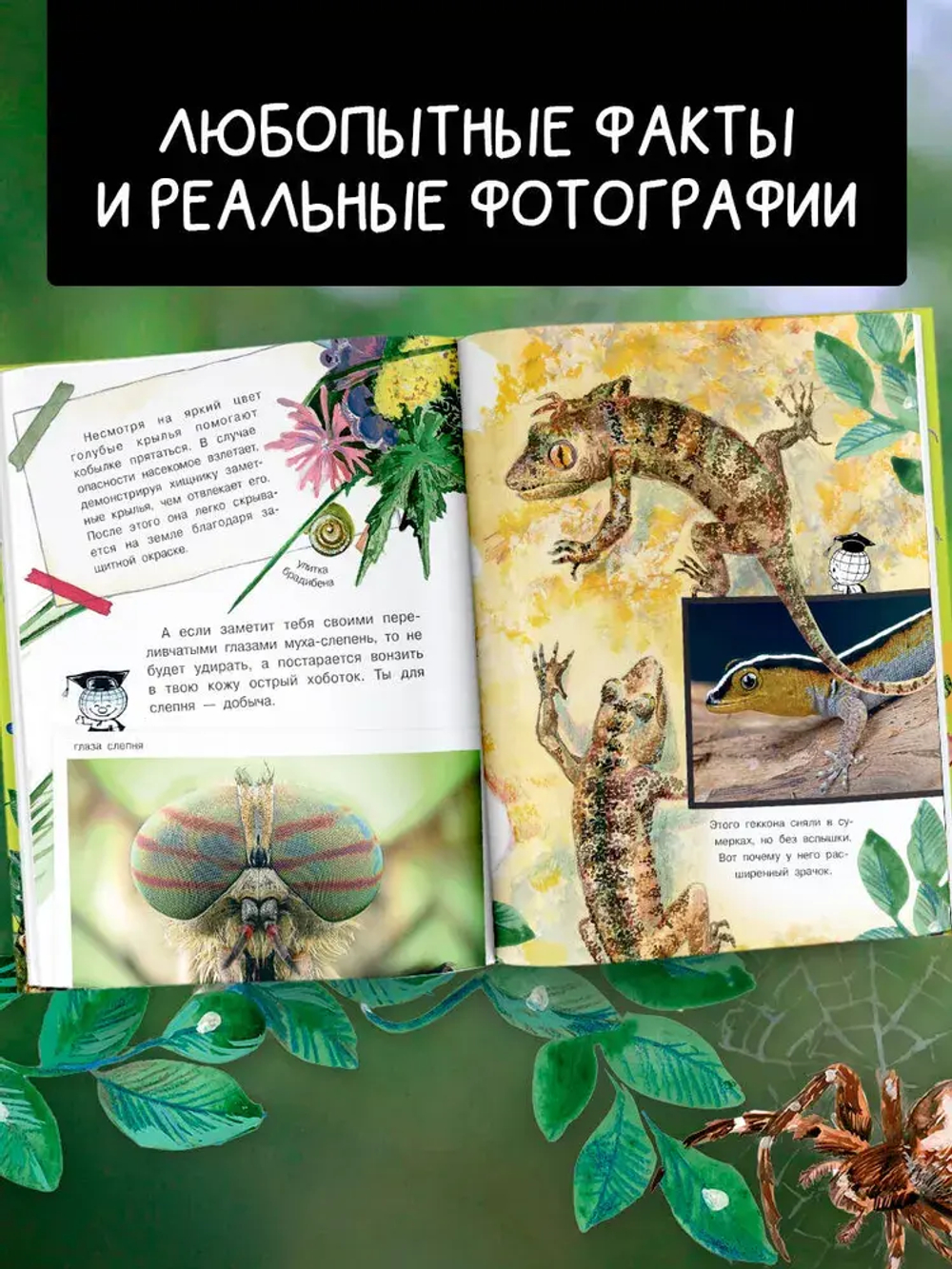 Кто как видит?