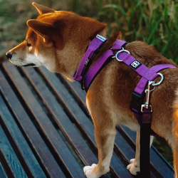 Шлейка TRI BullyBillows