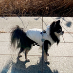 550 PA-OW Облегченная безрукавка "AIR3 / -20°~0° " Puppy Angel