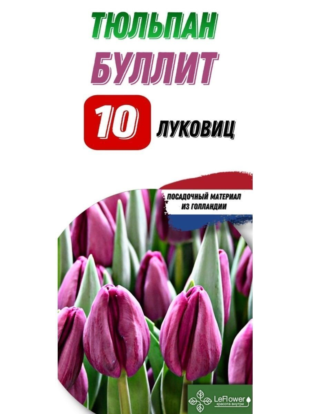 Тюльпан Луковица, Буллит, 10шт
