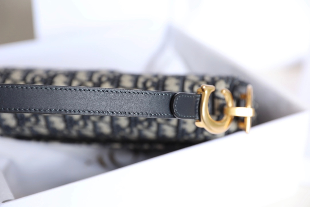 Christian Dior Saddle Bag 25 cm