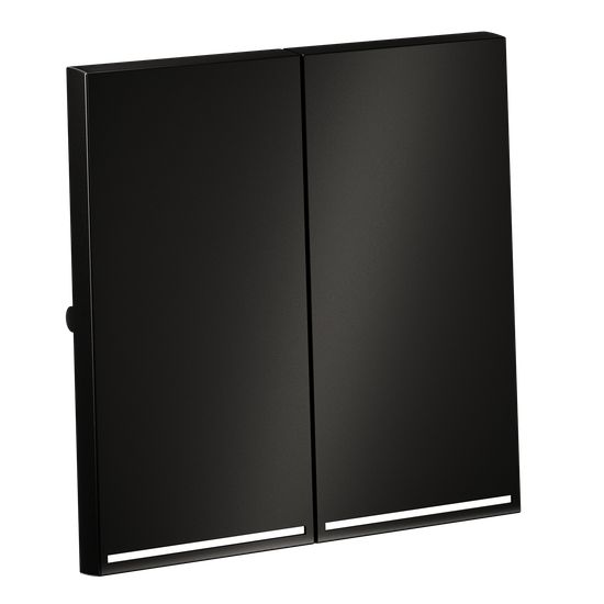 Клавиши для выключателя/переключателя двухклавишного с подсветкой, S70 Metal (антрацит)