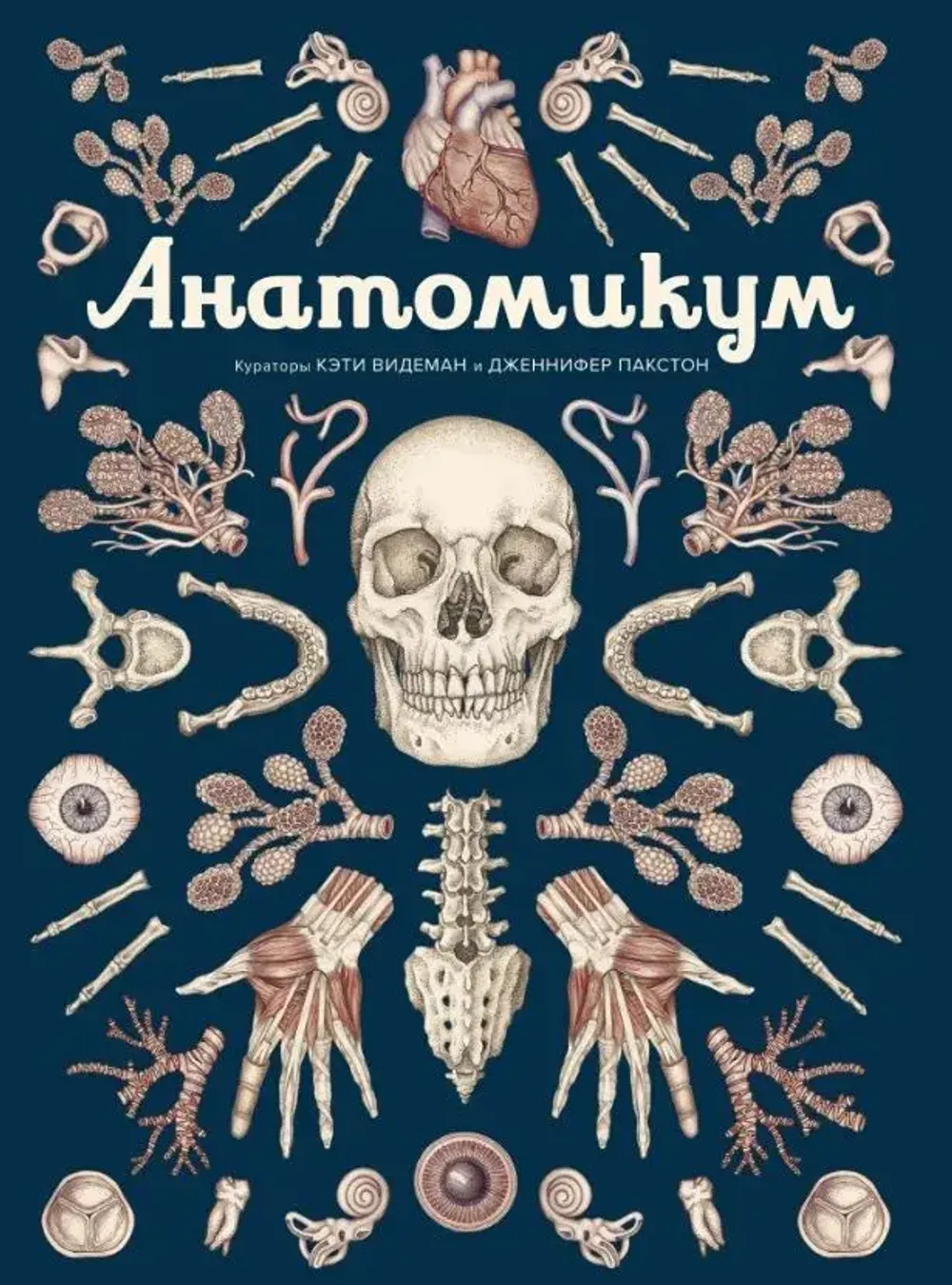 Энциклопедия Анатомикум