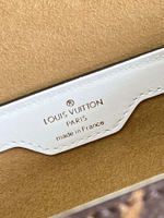 Louis Vuitton Papillon Trunk