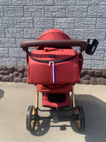 Коляска-трансформер 2в1 DAREX 608 Бордовый текстиль