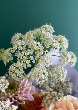 Соцветие красоты