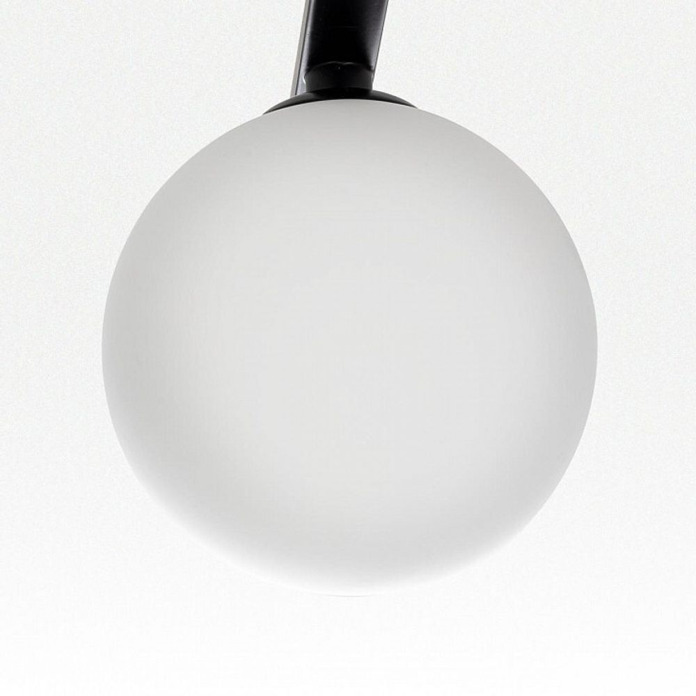 Потолочная люстра Citilux Glob CL209261