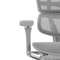 Кресло FALTO Ergohuman Luxury 2 с подножкой ( серый каркас /сетка светлаяT-168-B2 Natural)
