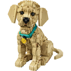 LEGO Icons - Щенок золотистого ретривера 11384
