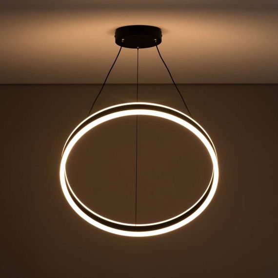 Подвесной светодиодный светильник Citilux Дуэт CL719501