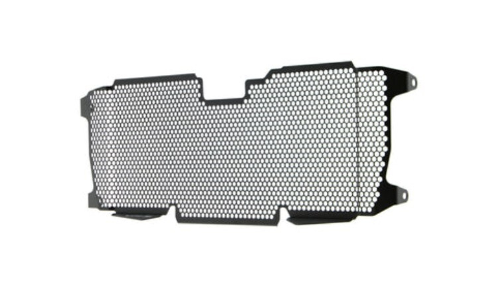 Evotech Performance Защитная сетка радиатора BMW R 1250 R PRN012256