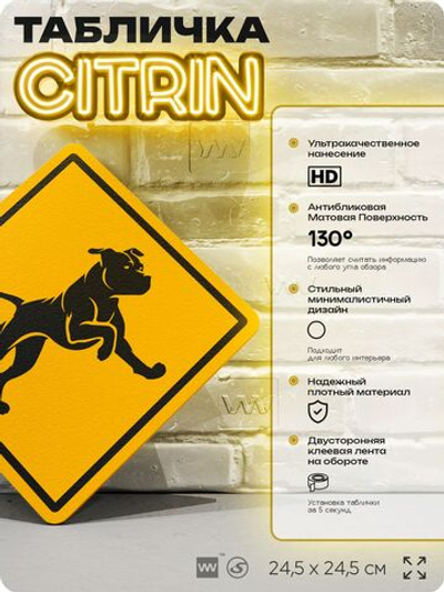 Табличка прикольная "Осторожно, собака" на дверь и стену, информационная и предупреждающая, декоративный знак, 24,5х24,5 см, пластиковая, Айдентика Технолоджи