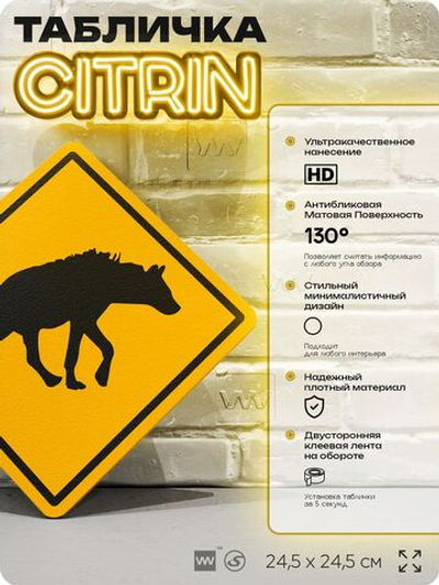Табличка прикольная "Осторожно, гиены" на дверь и стену, информационная и предупреждающая, декоративный знак, 24,5х24,5 см, пластиковая, Айдентика Технолоджи