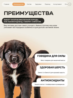 Корм сухой для щенков породы Ньюфаундленд, с индейкой, 12 кг, QUATTRO