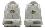 Nike Air Max Plus A Cold Wall