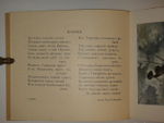 "1914 год. Казаки". 1914г.