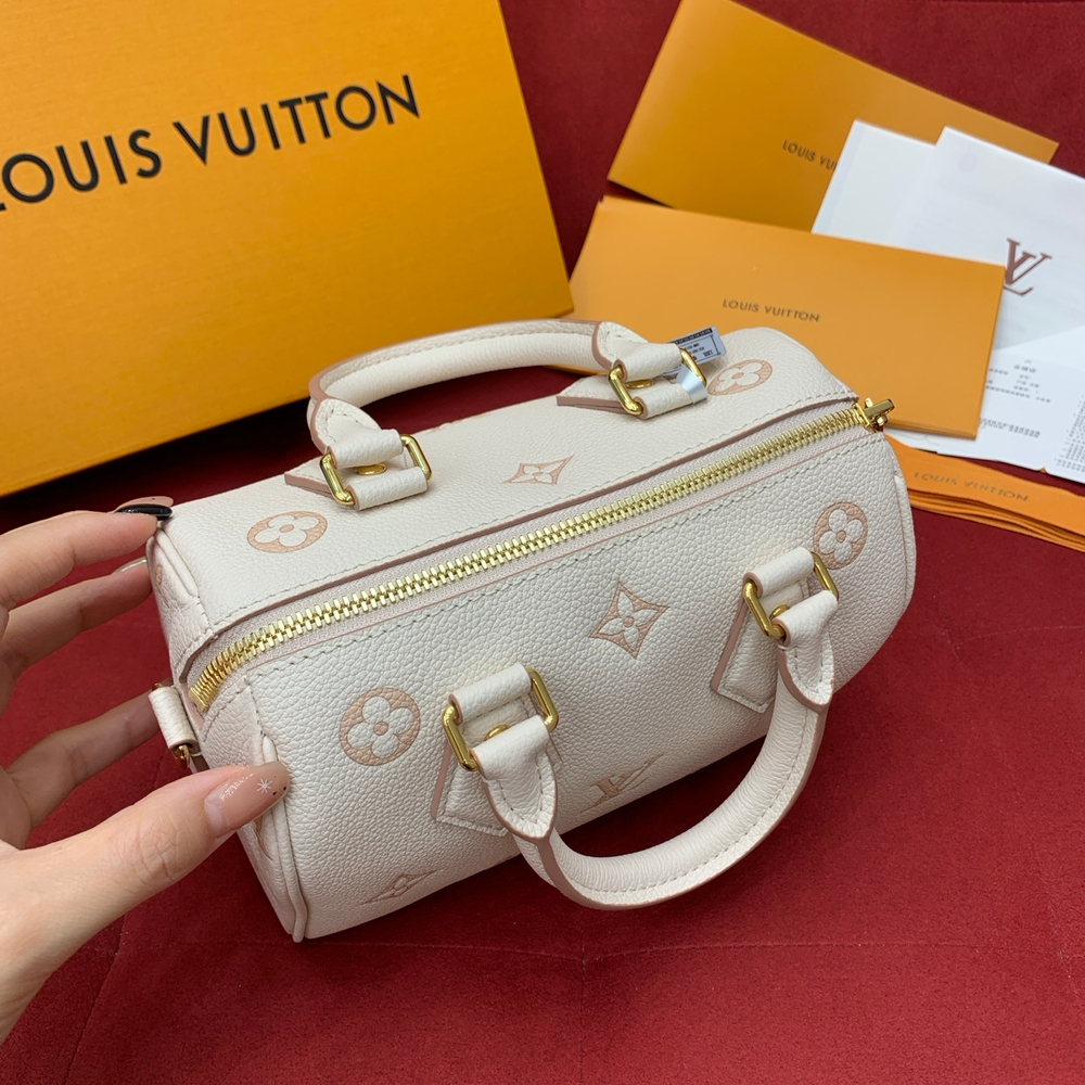 Louis Vuitton Speedy 20