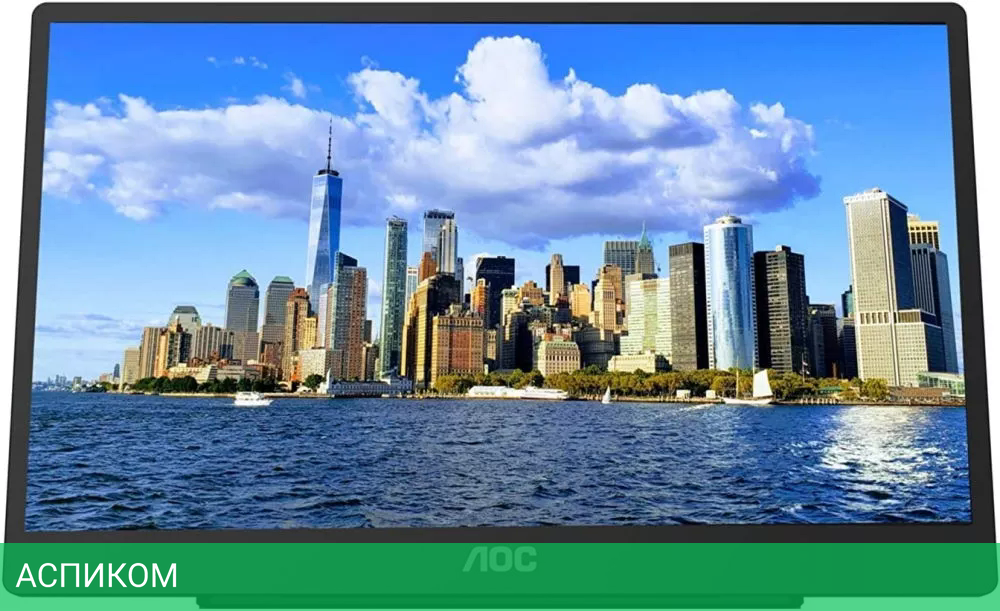 Монитор AOC 16T2