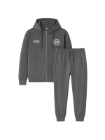 Спортивный костюм АЛГА BARS