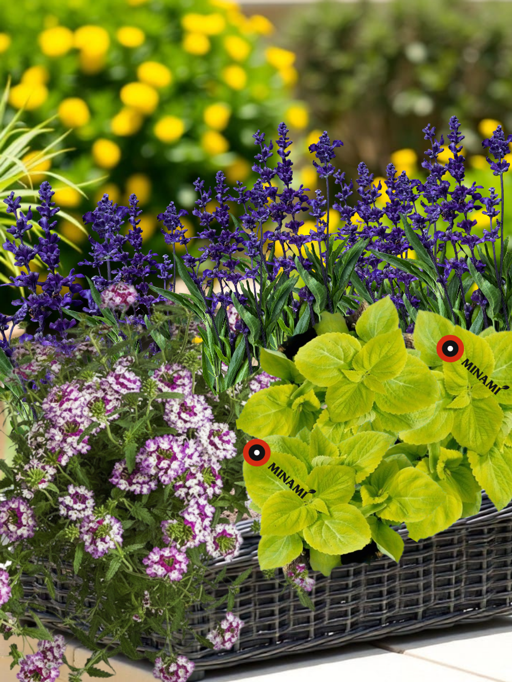 Набор для кашпо