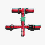 Шлейка LOLA Zee.Dog