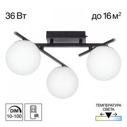 Потолочная люстра Citilux Dorsy CL223132