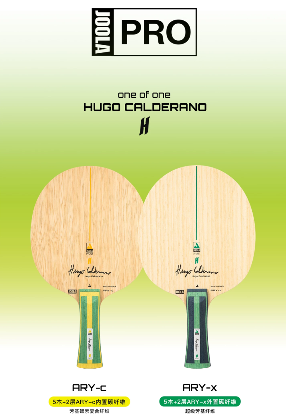 JOOLA Hugo Calderano ARY-C