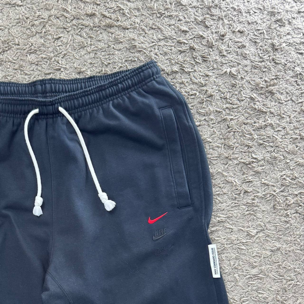 Брюки Nike Standart Issue