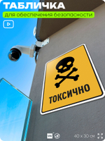 Табличка для обеспечения безопасности "Токсично", для производства, предприятия, организаций, 40х30 см, Silver Plane x Айдентика Технолоджи