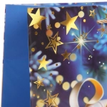 Пакет подарочный «Зимнее чудо» 31*42*12 см, микс