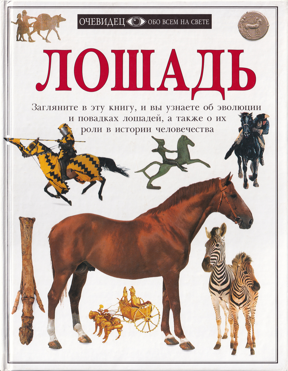Лошадь