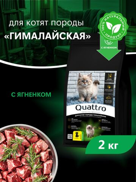 Корм сухой для котят породы Гималайская, с ягненком, 2кг, QUATTRO