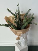 Эвкалипт в оформлении размер L