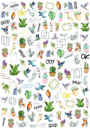 Слайдер-дизайн Crazy Shine Nails: Колибри