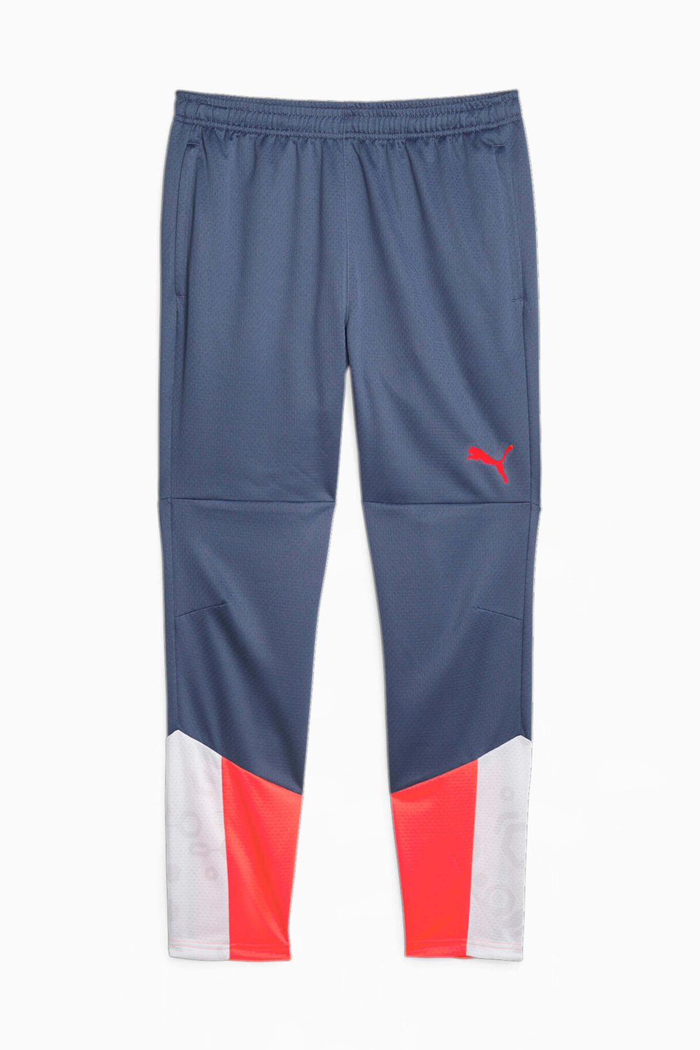 Штаны Puma individualCUP Training