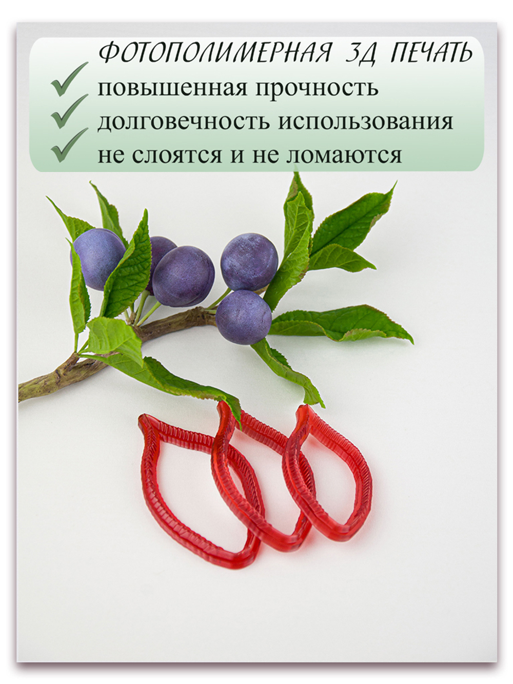 Лист сливы большой