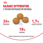 Royal Canin X-Small Adult Корм сухой для взрослых собак очень мелких размеров от 10 месяцев 3 кг