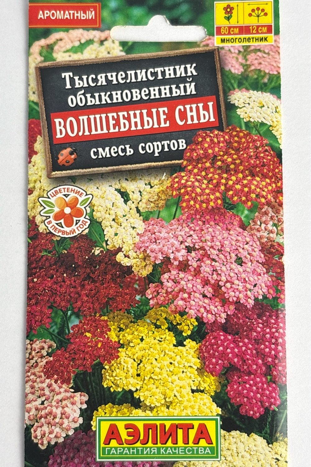 Тысячелистник Волшебные сны, смесь сортов СМЦ-946