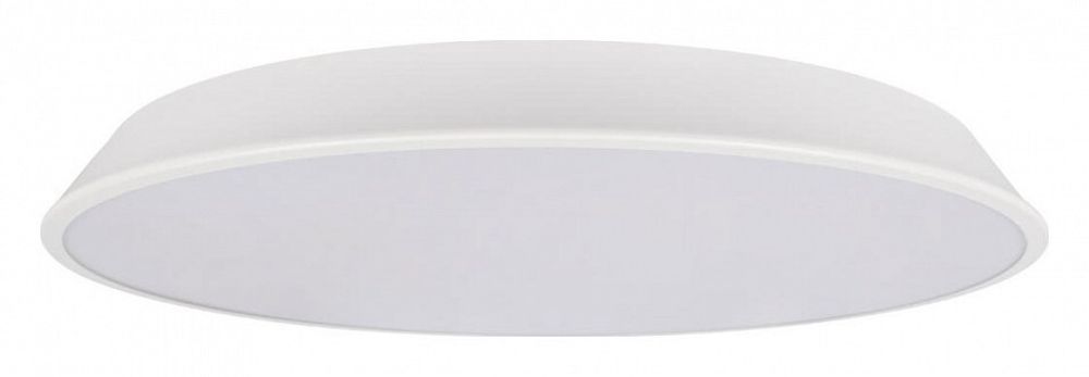 Накладной светильник Loft it Brim 10226 White
