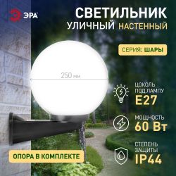 Садово-парковый светильник ЭРА НБУ 01-60-251 шар опаловый настенный IP44 Е27 max60Вт d250mm