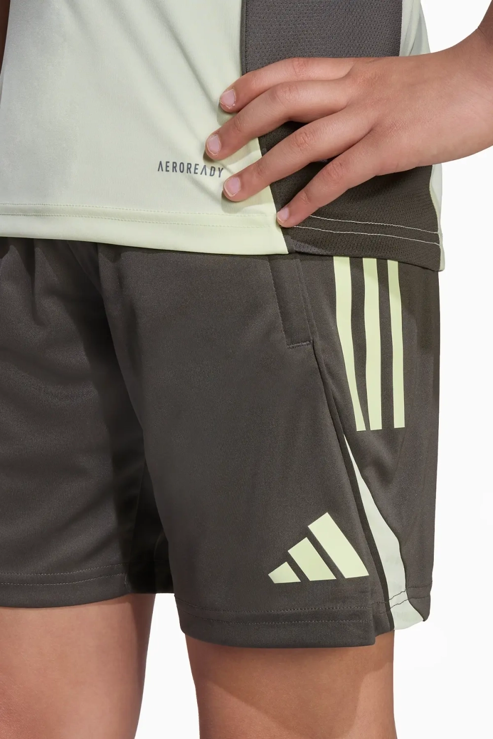 Шорты adidas Real Madrid 25/26 Training Competition Junior - зеленый