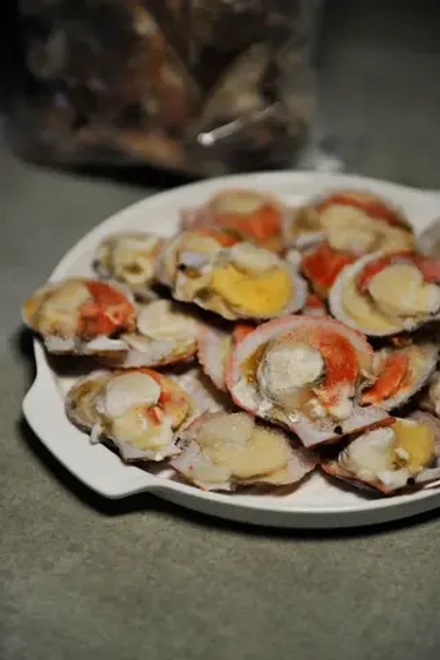 Гребешок на раковине с икрой (малый), 1кг