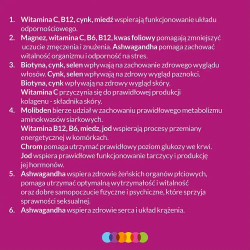 Мультивитаминная пищевая добавка Vigor Multivitamin ONA, 60 таблеток